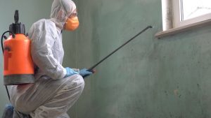 Mildew Remediation Specialist. Mold Remediation Techniques and Equipment. Mold control antimicrobial treatment can be dispensed by spray