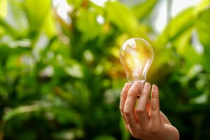 light bulb against nature, icons